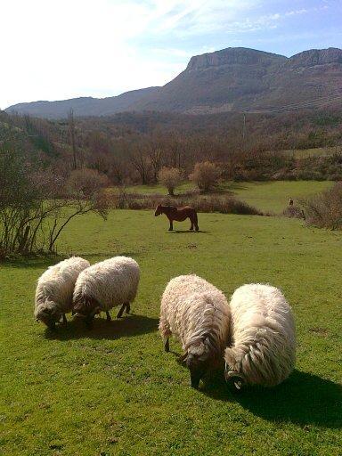Casa Rural Parriola Villanueva de Arce Dış mekan fotoğraf