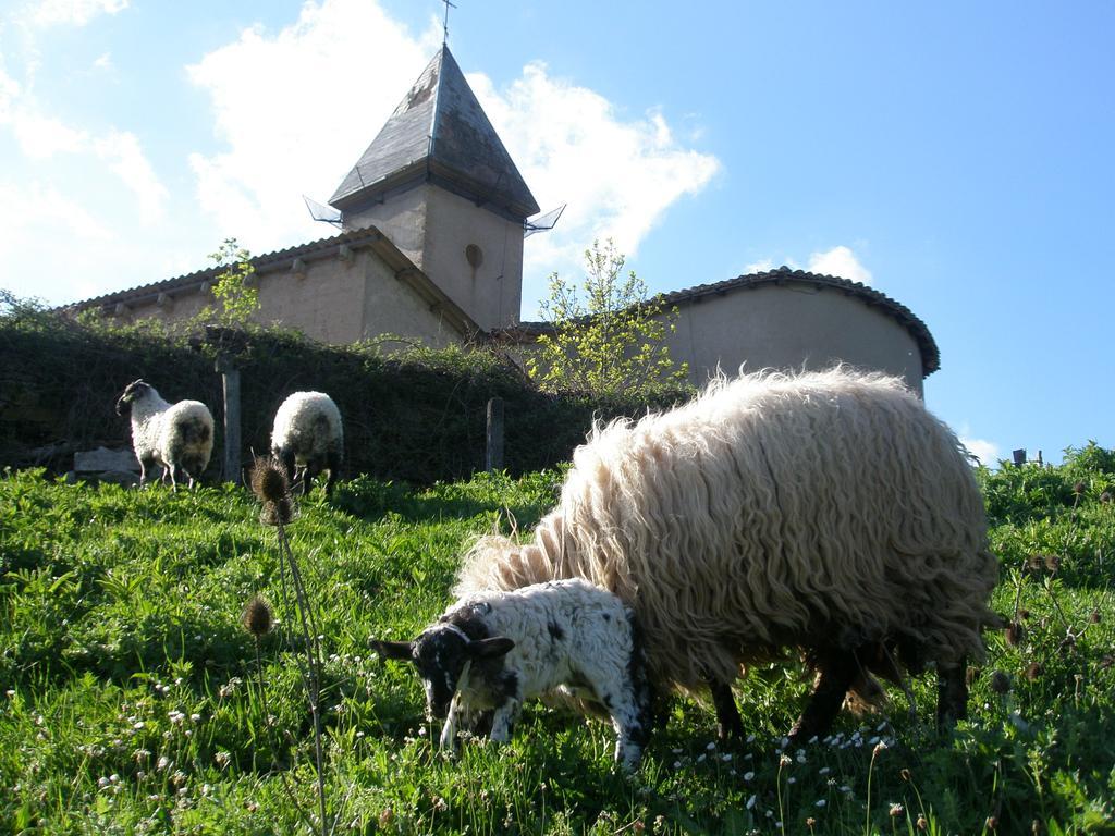 Casa Rural Parriola Villanueva de Arce Dış mekan fotoğraf